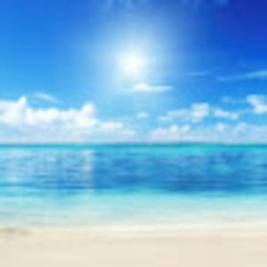 Meet your Posher, Minh